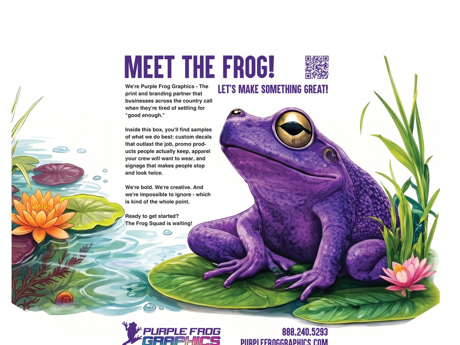 Purple Frog pitch box packaging